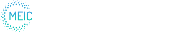 MEICModel